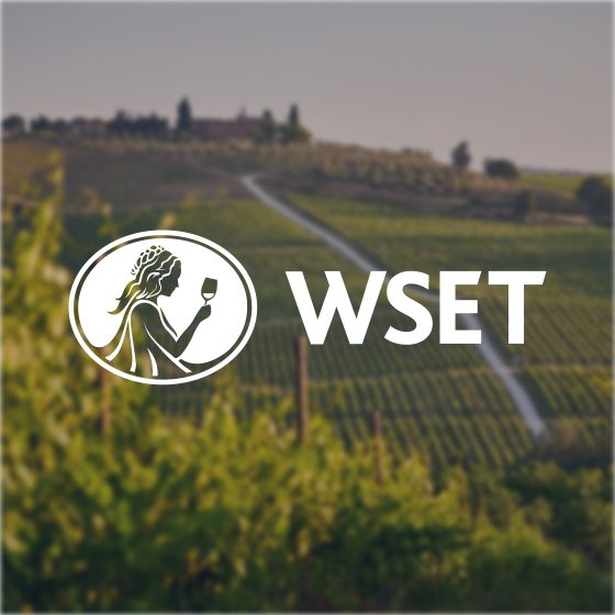 Thumbnail_WineWise_2